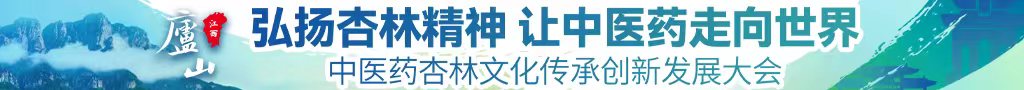 中国人日屄视频网站中医药杏林文化传承创新发展大会